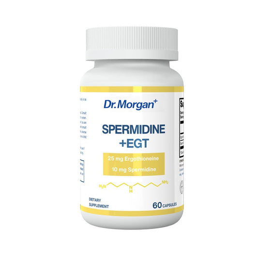 Spermidine +ERGOTHIONEINE