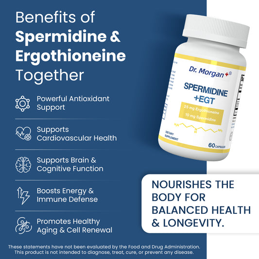 Spermidine +ERGOTHIONEINE